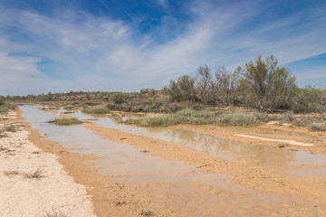 Flooded dirt road in the Kyzylkum Desert after May rains, southern Kazakhstan