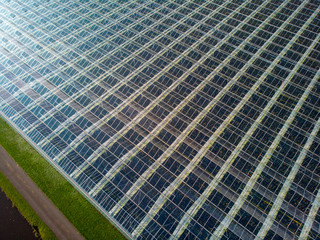 aerial view of a modern agricultural greenhouse