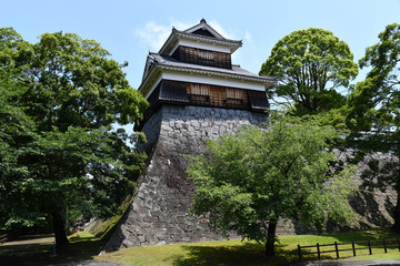 Fototapeta premium Kumamoto Castle