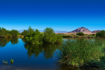 Reflections on a pond with mountain at Henderson Bird Viewing Preserve