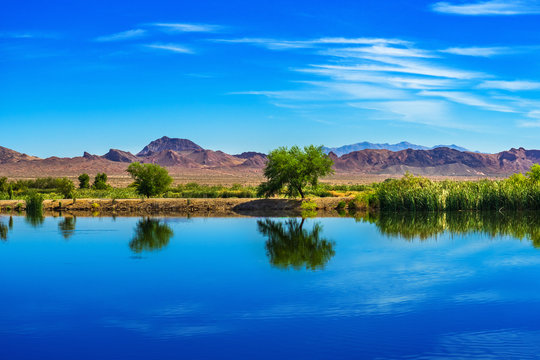 Tree reflections on a pond with mountain at Henderson Bird Viewing Preserve