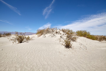 Fototapeta na wymiar Sand dunes in Death Valley National Park, California, USA.