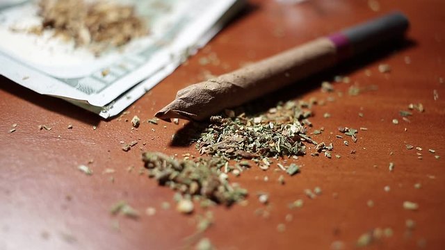 marijuana on the table, preparing to twist the jamb