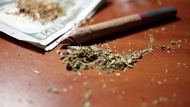 marijuana on the table, preparing to twist the jamb