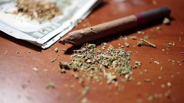 marijuana on the table, preparing to twist the jamb