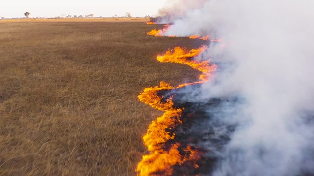 Climate change.Close-up aerial fly over view through the smoke of a grass fire in the Okavango Delta, caused by drought and climate change, Botswana