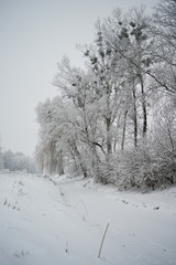 Fototapeta na wymiar Winter river covered with snow