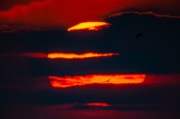 雲の中で昇る朝の太陽