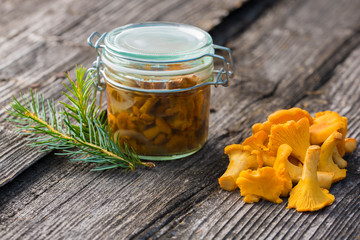 Marinated chanterelle mushrooms in glass jar on rustic background. Selective focus © Ivan