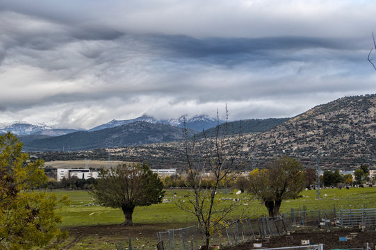 communal pasture with trees and mountains and clouds on top  in Collado Villalba, province of Madrid. Spain