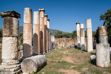 Ruins of the agora of nysa on the meander ancient city at Aydin, Turkey