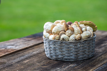 boletus mushrooms in a basket on wooden surface.