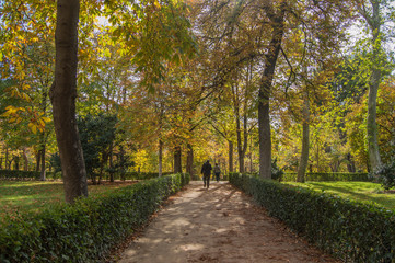 Fototapeta na wymiar View of the gardens of the Retiro Park in Madrid. Spain