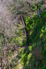 Escalera en la montaña