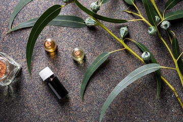 Bottles of essential oil with fresh eucalyptus twigs © Madeleine Steinbach