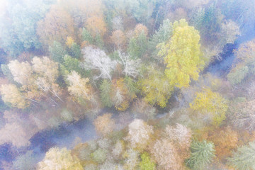 Forest in autumn colors. Colored trees and a meandering blue river. Red, yellow, orange, green deciduous trees in fall. Peetri river, Estonia, Europe