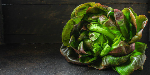 romano salad or lettuce , salad leaves (lettuce bush, green crop petals, vitamins Roman salad,...