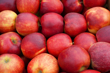 Fototapeta na wymiar Fresh red apple harvest. Background, food texture