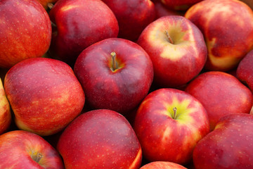 Fototapeta na wymiar Fresh red apple harvest. Background, food texture
