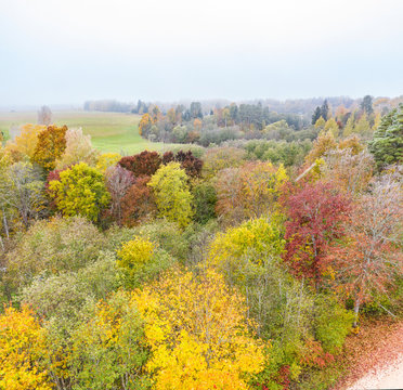 Forest in autumn colors. Colored trees and a meandering blue river. Red, yellow, orange, green deciduous trees in fall. Peetri river, Estonia, Europe