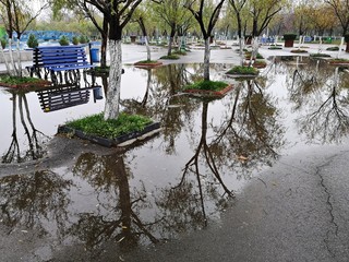 Flood in the park after rain storm. 