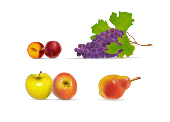 Pattern with vegetables isolated. Vecor illustration.