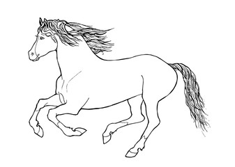 Obraz na płótnie Canvas Horse pattern design in line art style. Vector illustration.