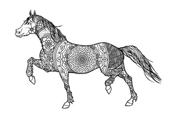 Horse pattern design. Vector illustration.