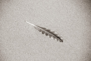 Schwarz Weiß und Rot