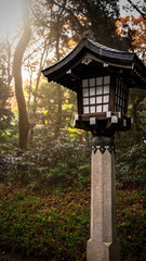 Fototapeta premium Meiji Details