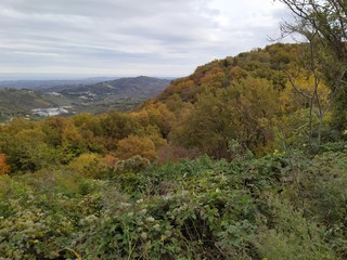 Obraz premium Natura in autunno