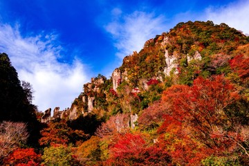一目八景の紅葉