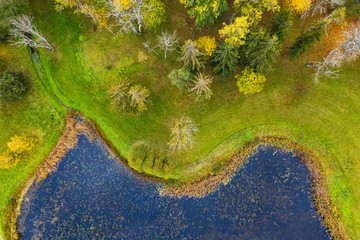 Forest in autumn colors. Colored trees and a meandering blue river. Red, yellow, orange, green deciduous trees in fall. Pühajärve, Estonia, Europe