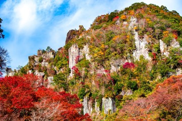 一目八景の紅葉