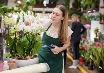 Portrait of smiling woman florist with tools in hands among phalaenopsis in floral shop