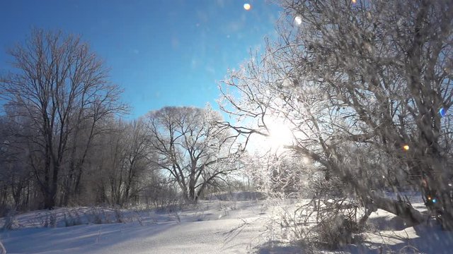 Slow motion snow shines against blue sky at beautiful sunny day.