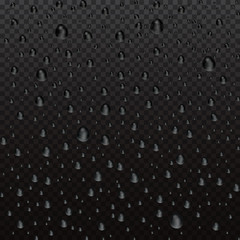 Vector realistic water drops condensed on black transparent background. Macro aqua bubbles isolated on glass. Rain droplets without shadows for transparent surface.