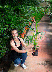 Young woman showing chamaedorea erumpens while gardening