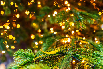 Obraz na płótnie Canvas Outdoor decorated Christmas tree with light garland, selective focus