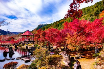 渓石園の紅葉