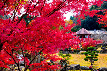 渓石園の紅葉