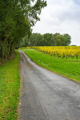 Obraz premium Agricultural fields with grapes after harvest. France