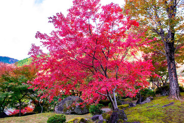 渓石園の紅葉