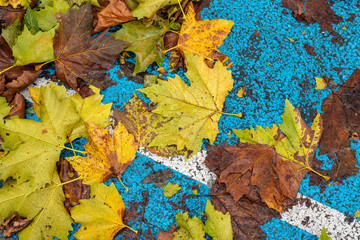 Fallen autumn foliage in the parking space for the car. Fallen leaves on the road.