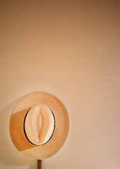 Hat of Paja Toquilla black edged