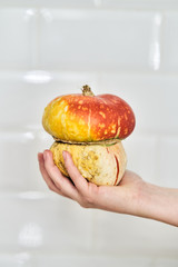 Mushroom-shaped decorative pumpkin 