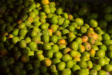 A pile of freshly harvested organic mangoes.