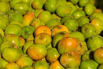 A pile of freshly harvested organic mangoes.