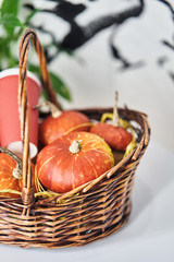 Basket with pumpkins on a white background 
