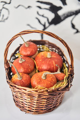 Basket with pumpkins on a white background 